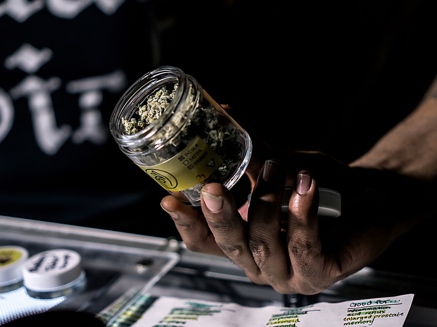 Discover Washington D.C.’s Top-Rated Weed Dispensaries