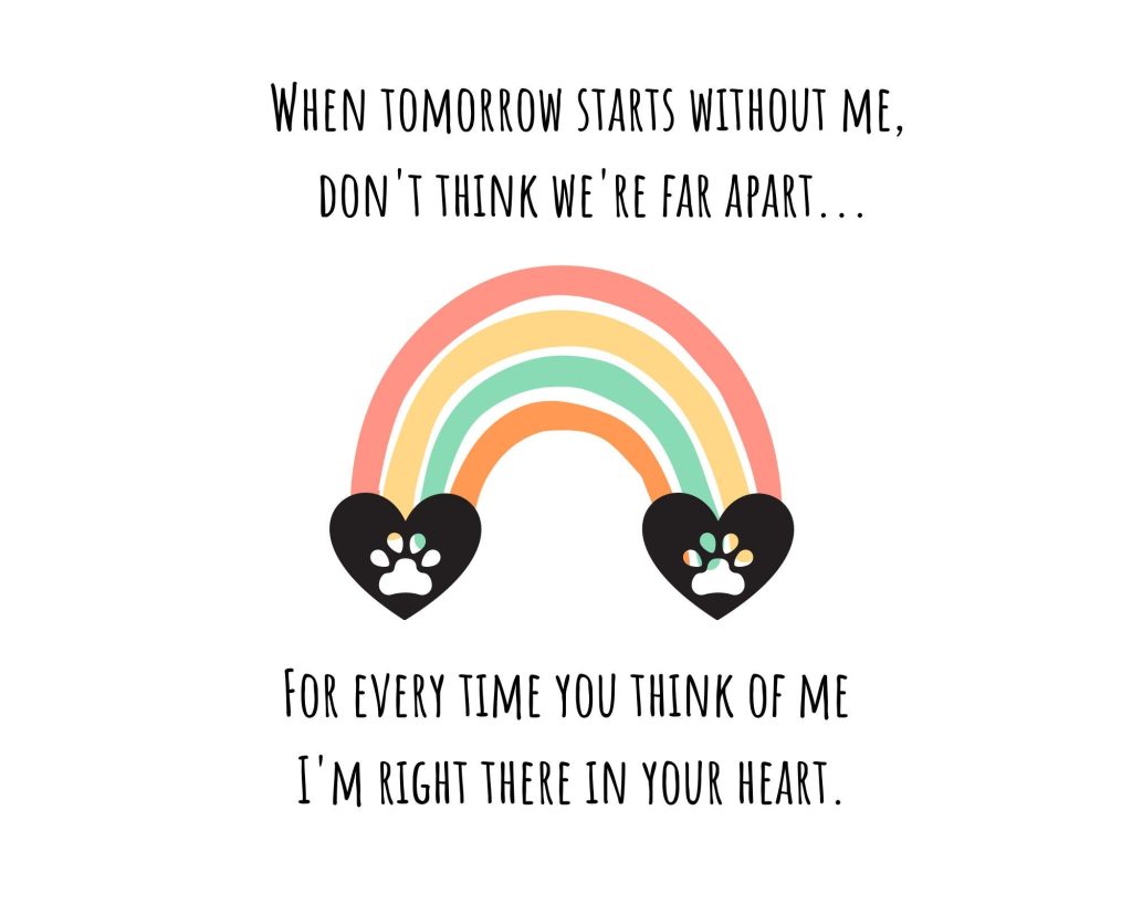 Dog Death Quotes Rainbow Bridge: Comfort In Loss And Love
