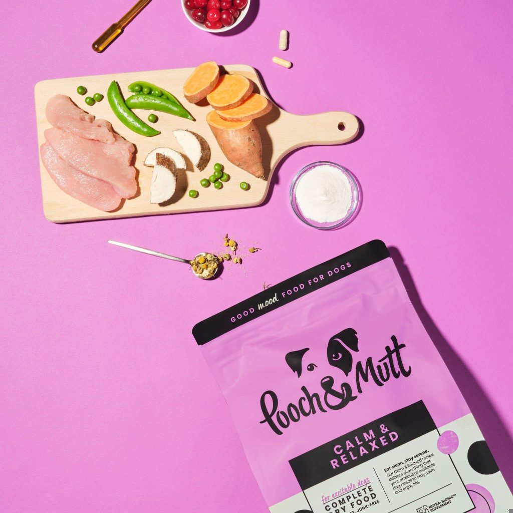 Pooch And Mutt Calm And Relaxed: Tips For A Happy Pet