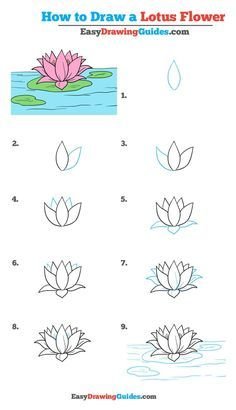 Beginner’S Guide: How To Draw A Lotus Flower – Step-By-Step